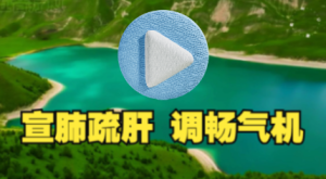 五音疗愈,宣肺气疏肝气,调畅气机,提高免疫,养元贮能,宁心净脑,缓解疲劳,调整情绪,舒缓减压,烦燥失眠抑郁焦虑等