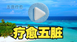 五音疗愈五脏 养心安神，聚气凝神，养元赋能，舒心畅气，释放压力，平和气血，平衡血压，改善睡眠。心烦意燥/疲劳熬夜可常听